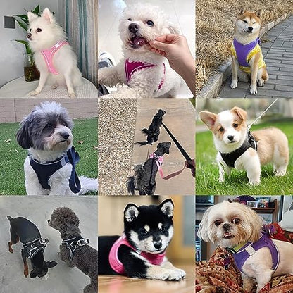 Dog Harness with Leash Set, No-Pull Step-in Reflective Pet Harness with 1 Leash - Image 6
