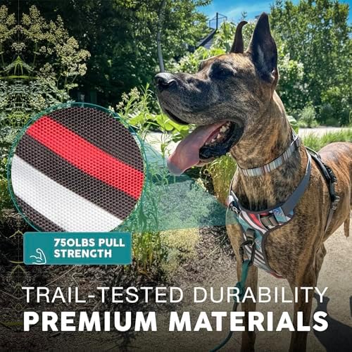 Embark No Pull Dog Harness, Reflective Adjustable Training Vest, No Choke - Image 5