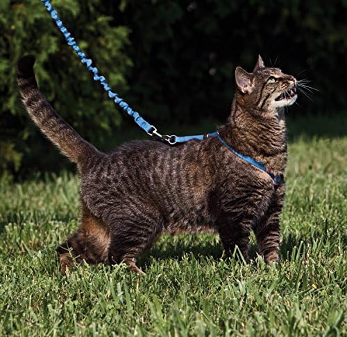 PetSafe Come with Me Kitty Harness and Bungee Cat Leash, Royal Blue - Image 2