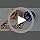 SlowTon No Pull Dog Harness - Image 7