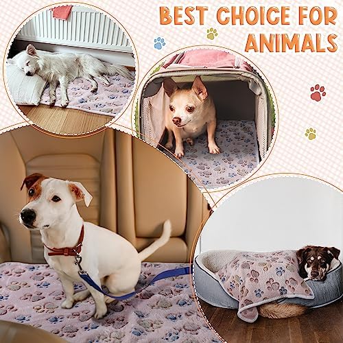 Tatuo 4 Pack Fleece Dog Blanket - Image 3