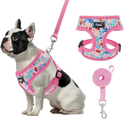 PUPTECK Small Dog Harness and Leash Set No Pull by PUPTECK