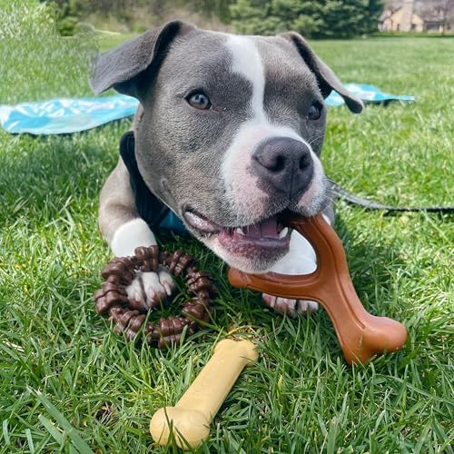 Nylabone Power Chew Customer Favorites Dog Chew Toys - Image 2