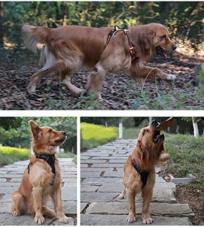 JUXZH Truelove No Pull Dog Harness - Image 3