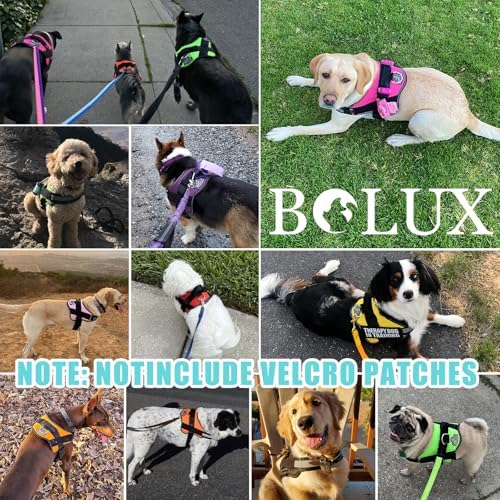 Bolux Dog Harness, No-Pull Reflective Dog Vest, Breathable Adjustable Pet - Image 7