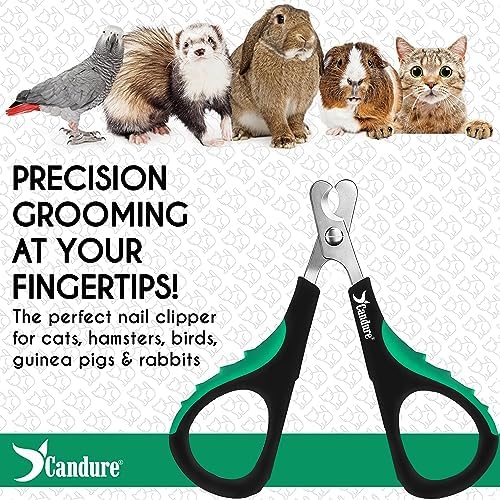 Candure Cat Nail Clippers for Indoor Cats, Birds - Image 6