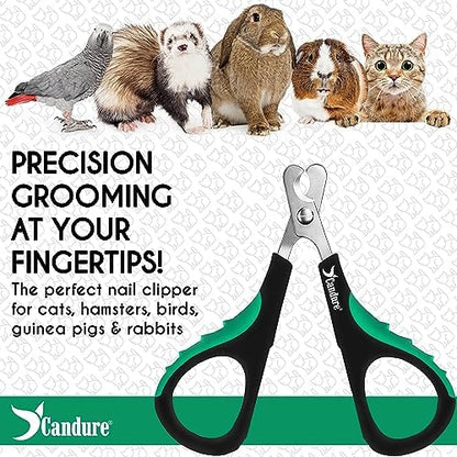 Candure Cat Nail Clippers for Indoor Cats, Birds - Image 6