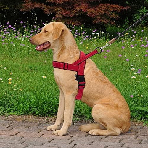 Red No Pull Dog Harness for Small Medium Large Sized Dog, Reflective Escape - Image 6