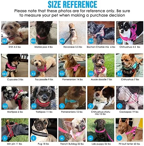 Lukovee Small Dog Harness and Leash Set, No Pull Soft Padded Vest - Image 5