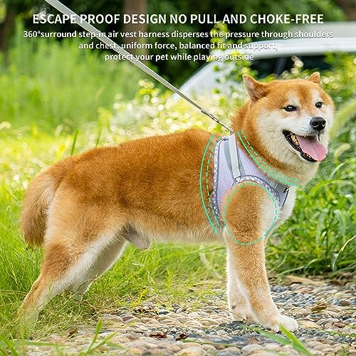 AIITLE Medium Dog Harness and Leash Set - Image 4