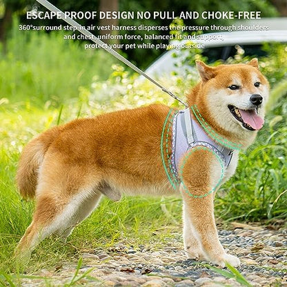 AIITLE Medium Dog Harness and Leash Set - Image 4