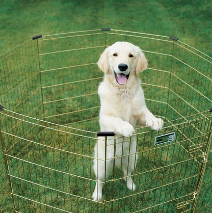 MidWest 30-Inch Exercise Pen, Single Door, 16 Sq Ft Play Area - Image 3