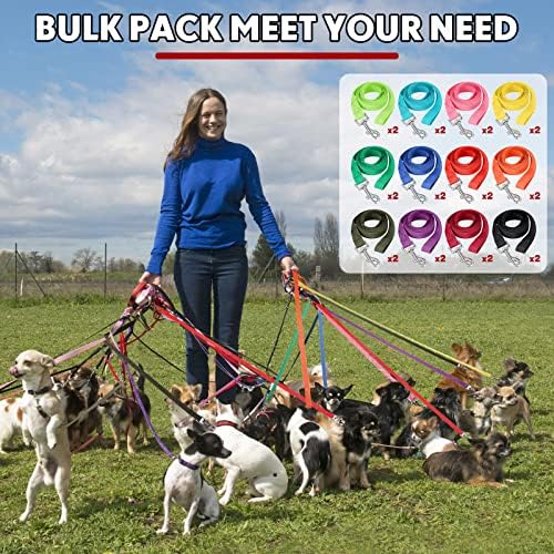 Hillban 24 Pack Nylon Dog Training Leash Bulk 5 ft, Bright Colors - Image 5