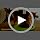 Cat Scratching Post - Image 7