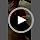 SleekEZ Cat Brush for Shedding - Image 7