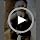 CHEWFFON Interactive Dog Snuffle Toy - Image 7