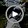 Cat Harness and Leash Set for Walking Escape Proof - Image 7
