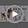 BEAUTYZOO No Pull Dog Harness and Leash Set - Image 7